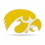 Iowa Hawkeyes Pennant Shape Cut Logo Design