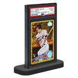 Ultra Pro PSA Graded Card Stand 10 Pack