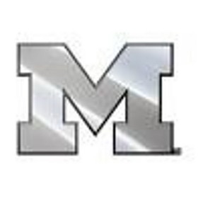 Michigan Wolverines Auto Emblem - Silver