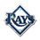 Tampa Bay Rays Auto Emblem - Color