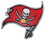 Tampa Bay Buccaneers Auto Emblem - Color