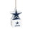Dallas Cowboys Ornament Tiki Design Star