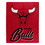 Chicago Bulls Blanket 50x60 Raschel Signature Design