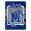 Memphis Tigers Blanket 46x60 Micro Raschel Dimensional Design Rolled