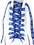 Chicago Cubs Shoe Laces 54 Inch