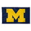 Michigan Wolverines Flag 3x5 Team