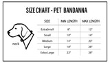 Tampa Bay Buccaneers Pet Bandanna Size L