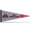 Ohio State Buckeyes 2014 Champs Pennant CO