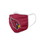 Arizona Cardinals Face Cover Big Logo