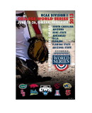 CWS POSTER-2013 CATCH THE ACTION-8 TEAMS CO
