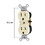 Volteck 46102 Dual In-wall Receptacle Standard Style