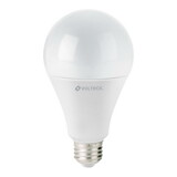 Volteck 46222 18 W, A19, daylight, led bulb