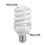 Volteck 48212 15 W Twist Light Bulb Voltech