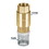 Foset 49061 Check Valves, Stainless Steel Basket-1/2"