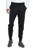 Dickies DK040S Men's Natural Rise Jogger - Short