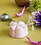 Chocolate World CF0260 Chocolate mould Mochi 4