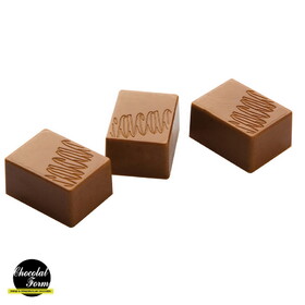 Chocolate World CF0401 Chocolate mould praline rectangle cocoa logo