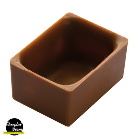 Chocolate World CF0405 Chocolate mould praline rectangular box