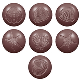 Chocolate World CW1615 Chocolate mould seaballs fossils 7 fig.