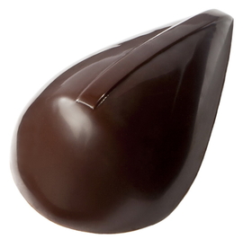 Chocolate World CW1752 Chocolate mould - David Pasquiet