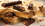 Chocolate World CW1872 Chocolate mould muesli bar