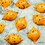 Chocolate World CW1903 Chocolate mould praline curve - Frank Haasnoot