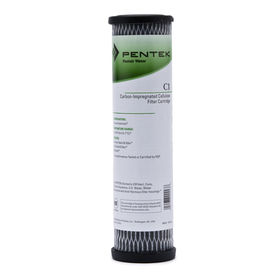 155002-43 / C1 Pentek Undersink Filter Replacement Cartridge