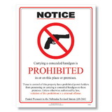 ComplyRight E8077NE Weapons Law Poster - Nebraska