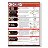 ComplyRight WR0236 P161401 Choking Poster