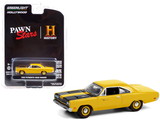 Greenlight 44910D  1969 Plymouth Road Runner Yellow with Black Stripes 
