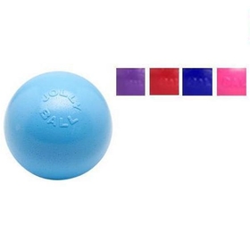 Jolly Pets Bounce-N-Play 6" Blueberry