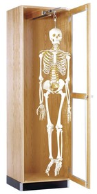 Diversified Woodcrafts 375-2422K Perpetulab Skeleton Cabinet