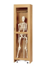 Diversified Woodcrafts 377-2422K Perpetulab Skeleton Cabinet