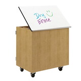 Diversified Woodcrafts 4821K3 Access Euro Tote Write-n-Roll Cabinet