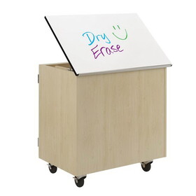 Diversified Woodcrafts 4821M1 Access Euro Tote Write-n-Roll Cabinet