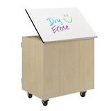 Diversified Woodcrafts 4821M3 Access Euro Tote Write-n-Roll Cabinet