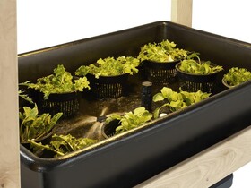 Diversified Woodcrafts HGC-52K Sprout Hydroponic Growing Center