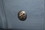 Liberty Hardware 1-3/8" Augustine Decortive Knob in Heirloom Silver