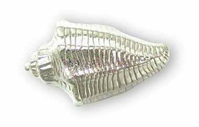 Liberty 1-5/8" Conch Shell Knob Satin Nickel