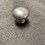 Avante 1-1/4" Round Avante Knob Dull Chrome