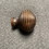 Liberty Hardware 1-1/4" Knob with Ribbed Design Antique Copper