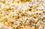 Commodity Popcorn Yellow Popcorn, 50 Pound, 1 per case, Price/Pack
