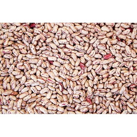 Commodity Triple Clean Pinto Bean 50 Pounds Per Pack - 1 Per Case