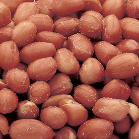 Azar Roasted Salted Spanish Peanut, 2 Pounds, 3 per case