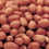 Azar Roasted Salted Spanish Peanut, 2 Pounds, 3 per case, Price/Case