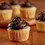 Gold Medal Baking Mixes Chocolate Fudge Creme Icing Mix, 5 Pounds, 6 per case, Price/Case