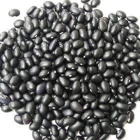 Jack Rabbit Black Beans, 20 Pounds, 1 per case
