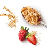 Kellogg's Special K Cereal, 0.81 Ounces, 70 per case