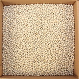 Commodity Navy Pea Beans, 20 Pound, 1 per case