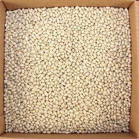 Commodity Navy Pea Beans 20 Pounds Per Pack - 1 Per Case